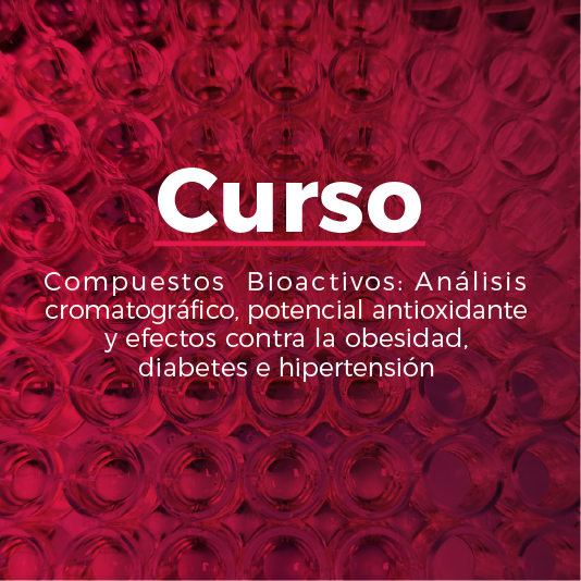 Compuestos Bioactivos: Análisis cromatográfico, potencial antioxidante y efectos contra la obesidad, diabetes e hipertensión