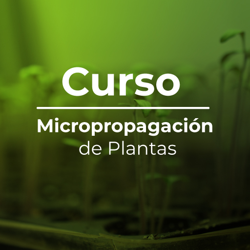 Micropropagación de plantas