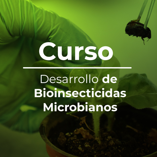 Desarrollo de Bioinsecticidas Microbianos