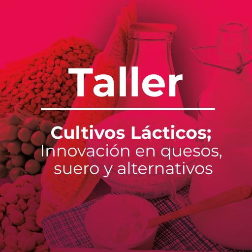 Taller Cultivos lácticos; innovación en lácteos y alternativos.