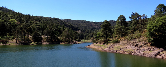 Banco de germoplasma de actinomicetos aislados del parque nacional el chico en el estado de Hidalgo