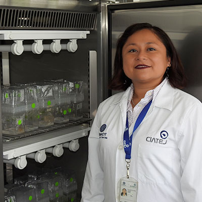 Julia del Socorro Cano Sosa, Dra.