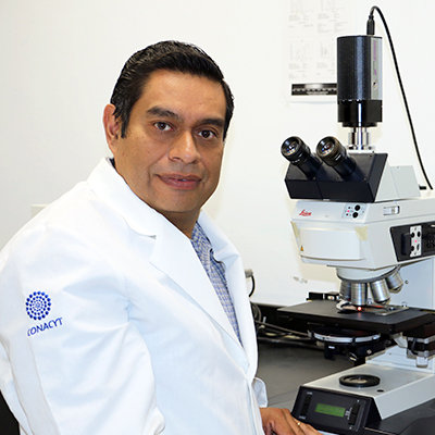 José Manuel Rodríguez Domínguez, Dr.