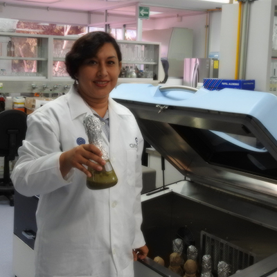 Tania González Flores, Dra.