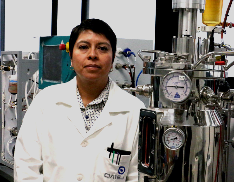 Iliana del Carmen Barrera Martínez
